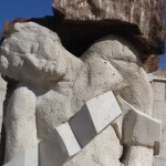 vittime-della-strada-noci12
