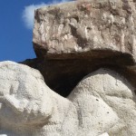vittime-della-strada-noci13