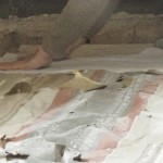 restauro_soffitto_carta_09